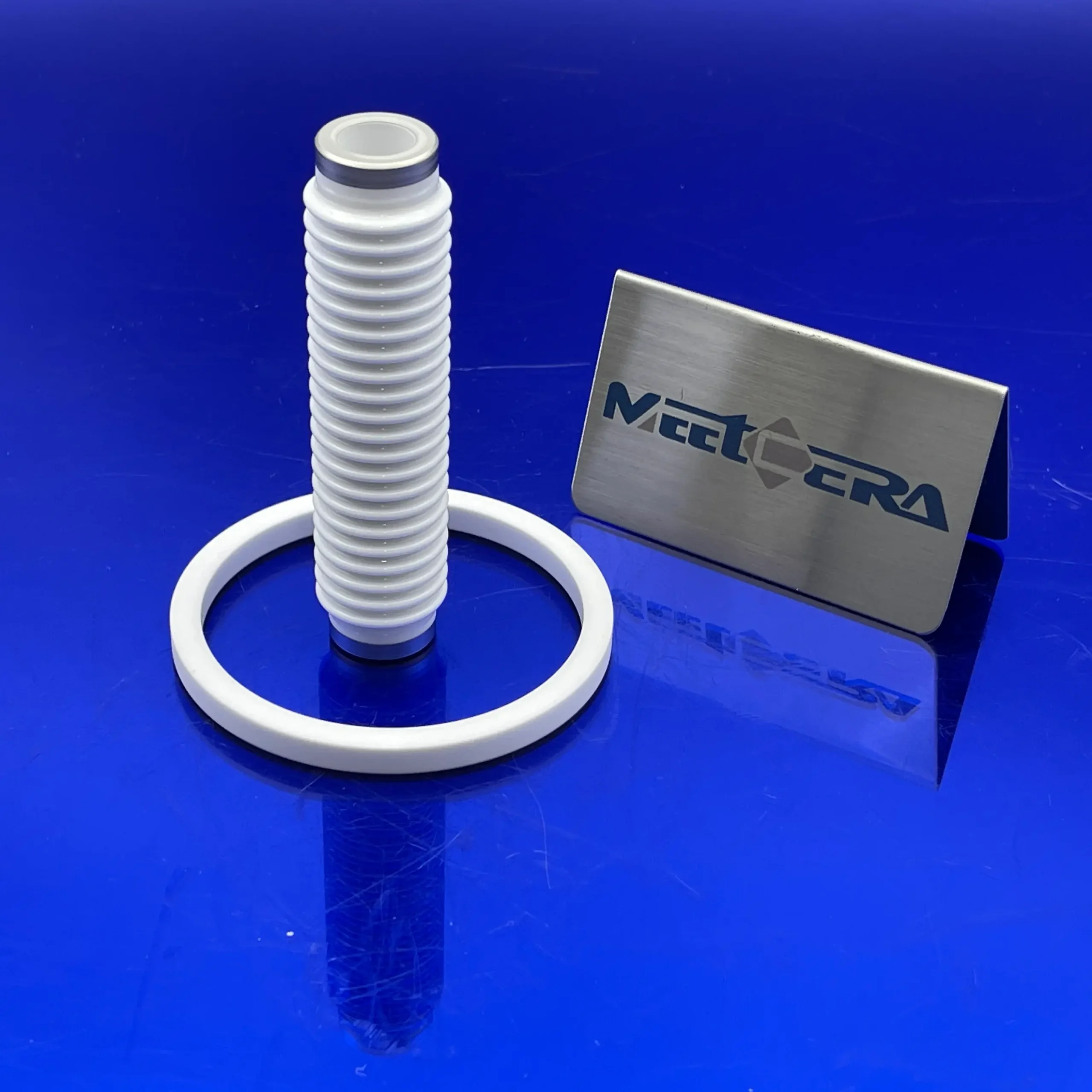 Metallized ceramic ring3