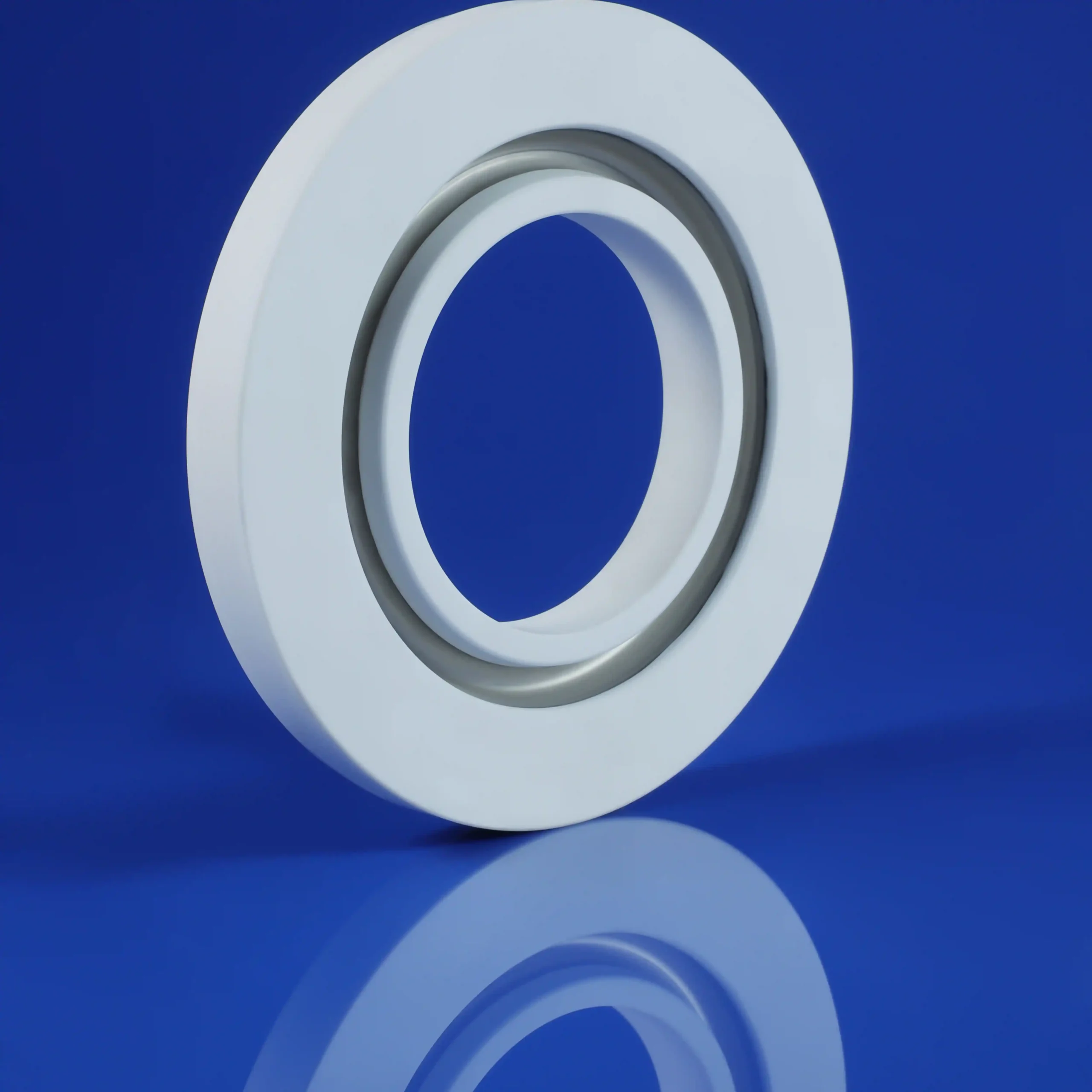 Ceramic metallized step ring1.1