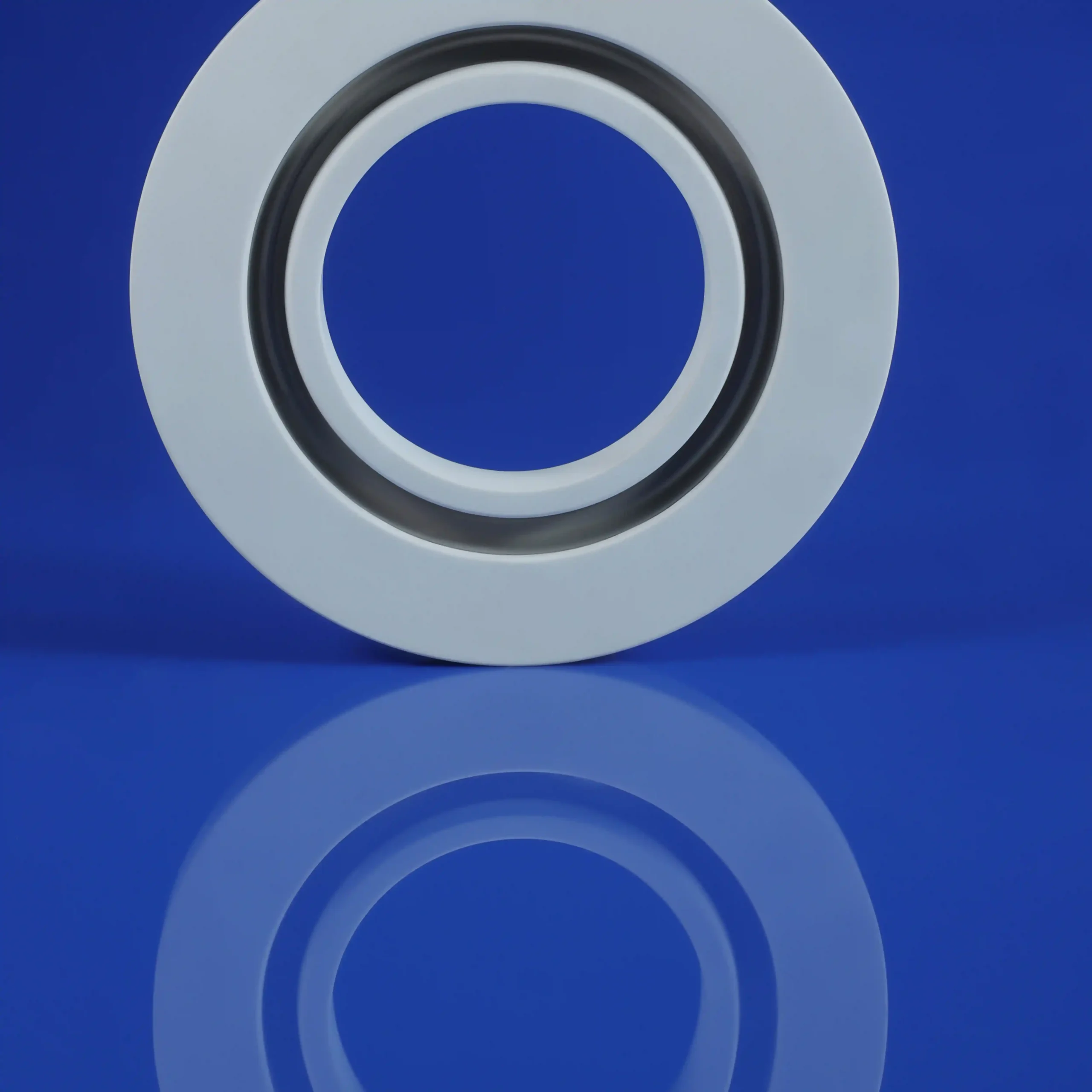 Ceramic metallized step ring1.2